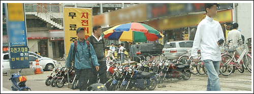 대여 중인 미니바이크들. 위 사진은 인터뷰한 곳과는 상관 없음. 